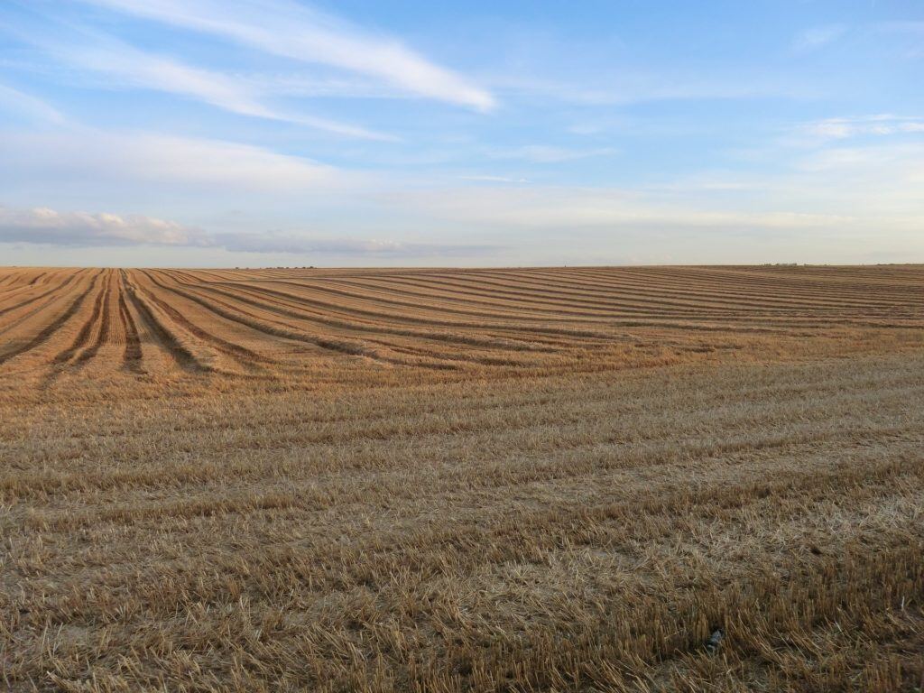 Flexitarier als neue Zielgruppe für Landwirte
